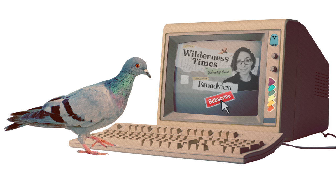 I've launched a Substack with Broadview!